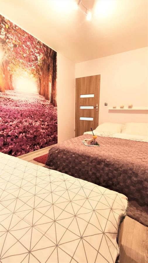 Apartamenty Pilsko Korbielów 外观 照片