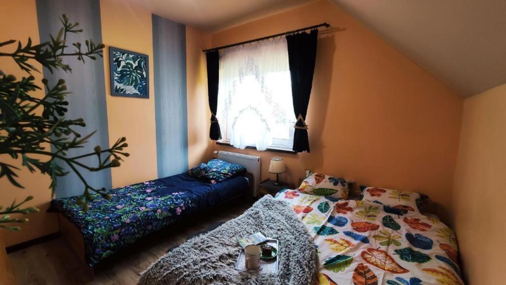 Apartamenty Pilsko Korbielów 外观 照片