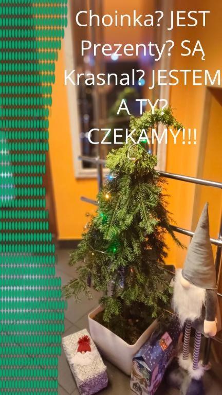 Apartamenty Pilsko Korbielów 外观 照片